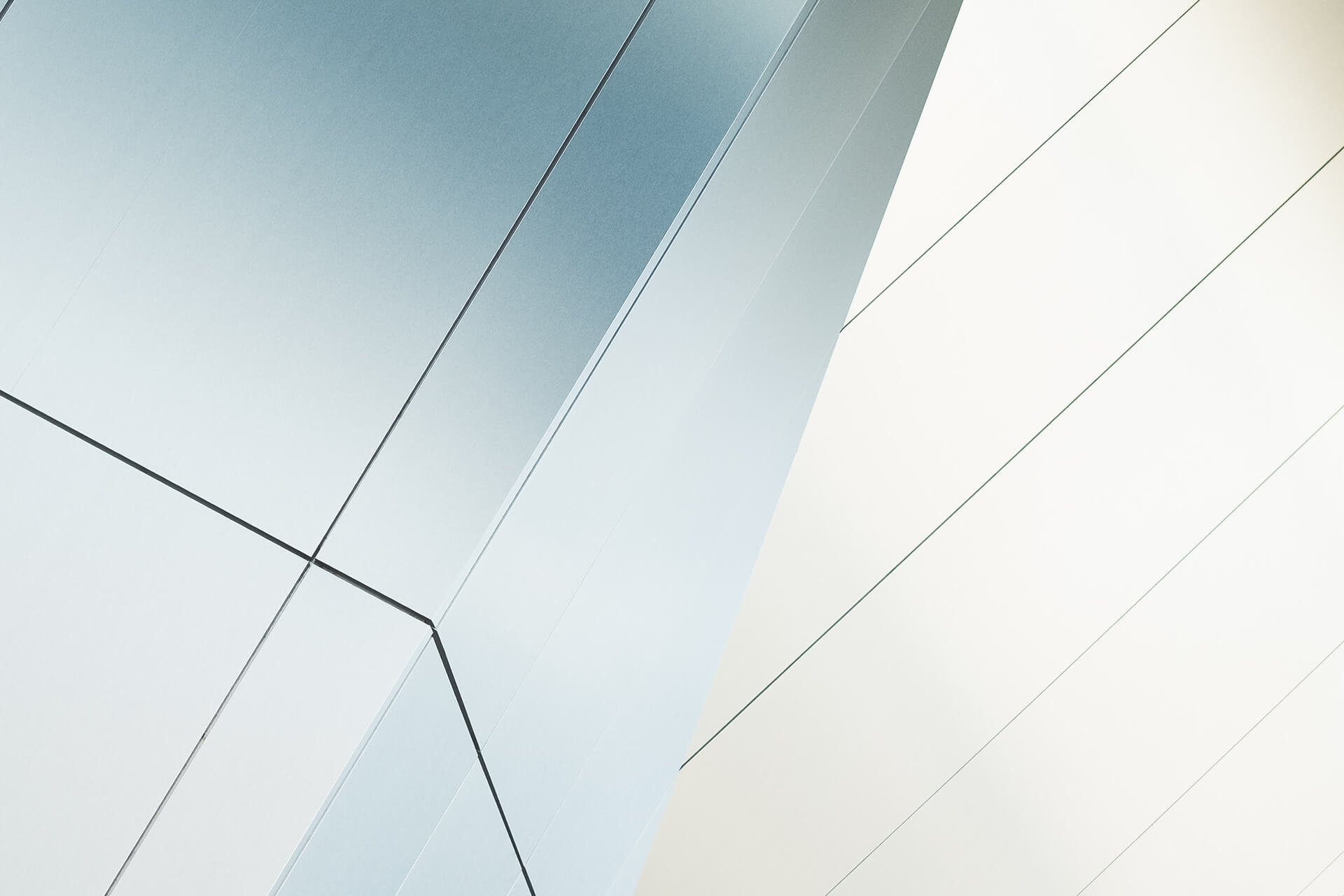 Ekipa budowlana All-In Bud - profesjonalne usługi budowlane